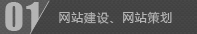 网站建设,网站策划