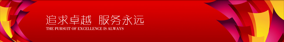 龙诚简介